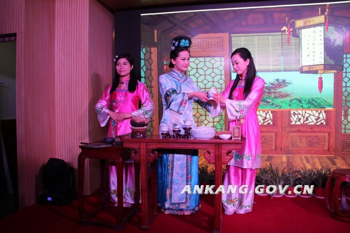 平利茶城大众品茗活动在西安举行 平利绞股蓝深受赞誉
