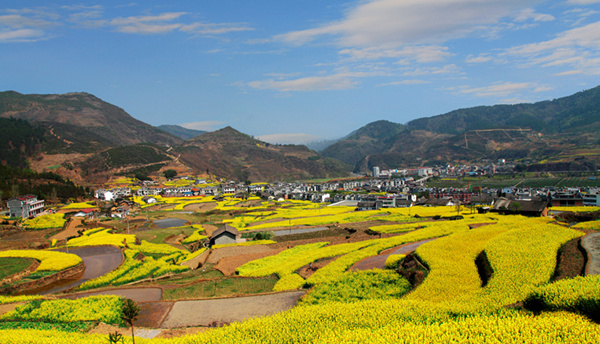 平利女娲茶故乡写意：春之韵 中国最美丽的乡村