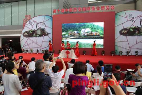 第十届中国西安国际茶叶博览会暨平利县富硒红茶宣传推介活动在曲江国际会展中心举行