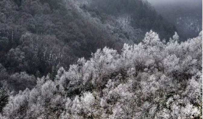 平利女娲茶故里：百万人看八仙雪景