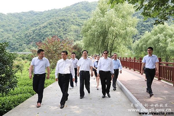 驻陕外交官来平利县考察美丽乡村建设 对茶乡给予高度评价