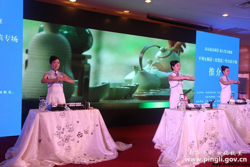 2018年7月20日平利女娲茶（绞股蓝）专场推介活动在哈尔滨成功举行