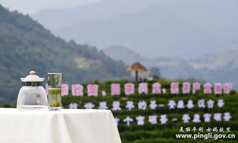 2021年“国际茶日”陕西分会场主题活动在平利县启动